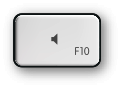 Mac F10 and volume mute key